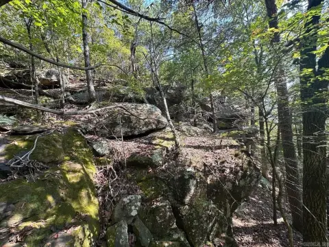 Searcy Acreage with Mineral Rights