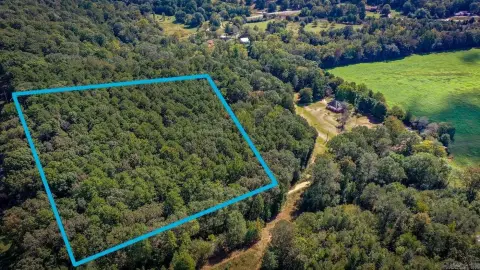 Wooded Land Parcel