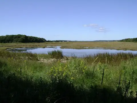 4.12 Acre Homesite in Parksley