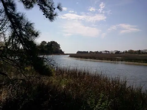 9 Acres on Assawoman Creek