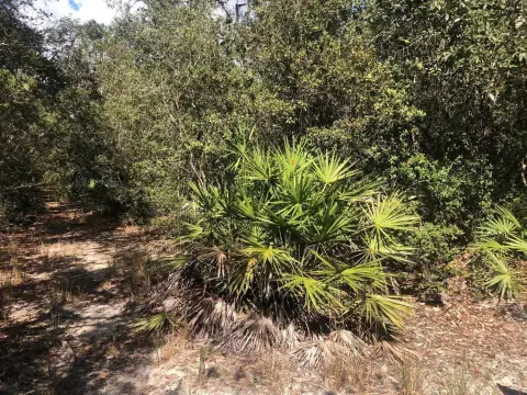 Interlachen, FL Land Available