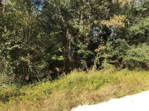 Residential Land in Interlachen, FL