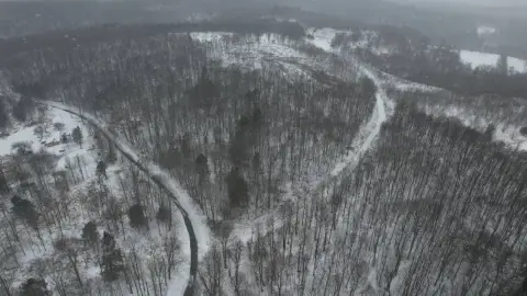 Secluded Wooded Acreage in Pennsylvania