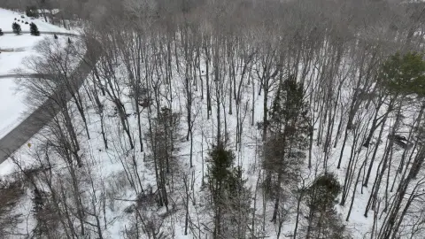 Wooded Corner Lot Opportunity