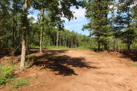 Agricultural Land
