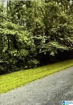 Level Lot with Mature Trees