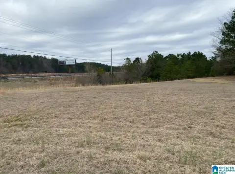 Undeveloped Land in Jasper, AL
