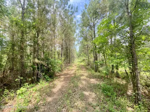 Secluded Acreage Near Utica