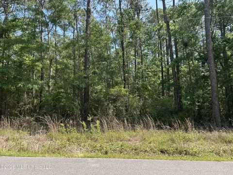 Residential Lot in Ocean Springs