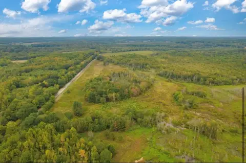 Bruceton Bottoms Acreage For Sale