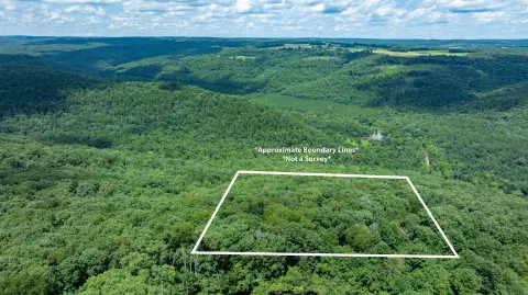 Wooded Recreational Land Tract