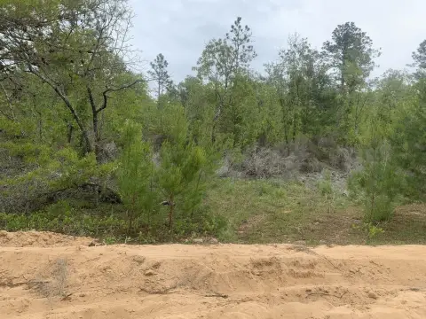 Land in Interlachen, Florida