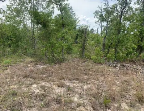 Interlachen Building Lot For Sale