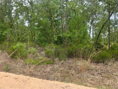 Interlachen, Florida Building Lot