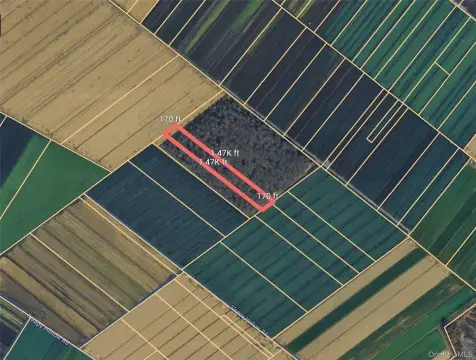 Agricultural Land in Florida, NY