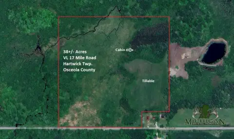 38-Acre Hunting and Recreational Land