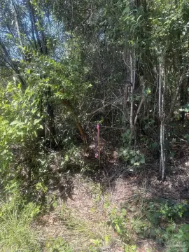 High-and-Dry Acreage with Easement
