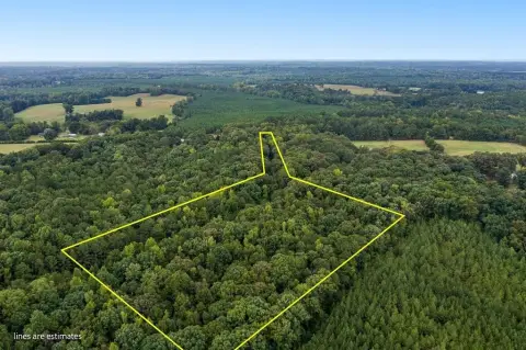 Wooded Hunting Land with Tiny Home