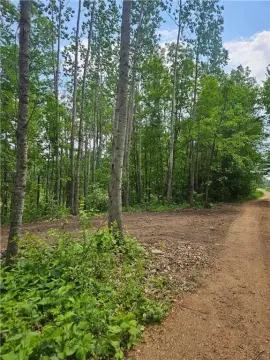 Wooded Residential Build Site