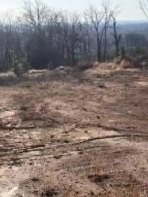 Atkins, AR Commercial Land