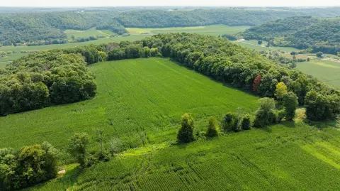 Wooded Hunting Land
