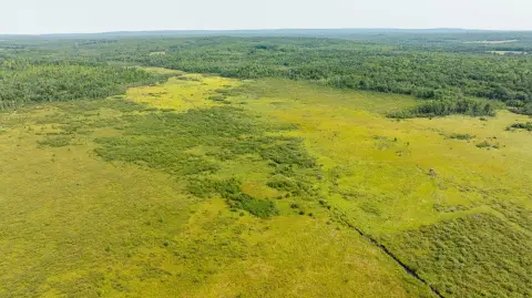 Private Hunting Land with Wetlands