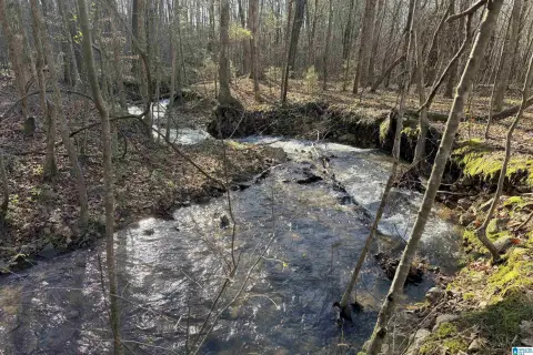 28 Acres in Golden Springs