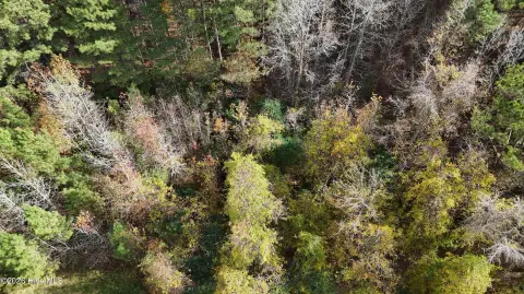 Wooded Land in Blounts Creek