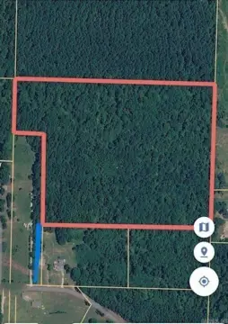 Timbered Land Tract