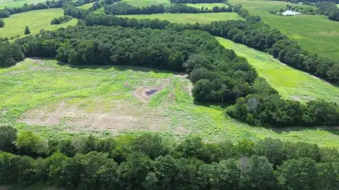 45.5 Acres of Farmland/Hunting Land