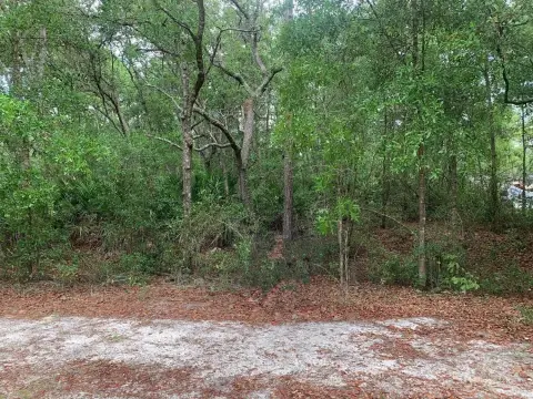 Satsuma, FL Land For Sale