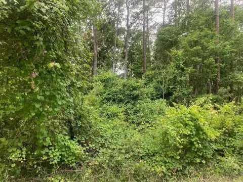 Residential Land in Satsuma, Florida