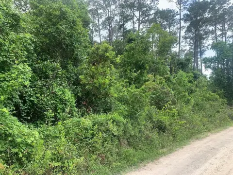 Residential Land in Satsuma, Florida