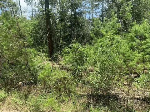 Satsuma, FL Building Lot