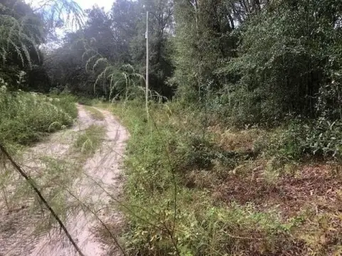 Satsuma, FL Oversized Building Lot