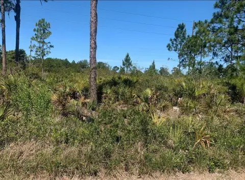 Residential Land in Sebring, FL