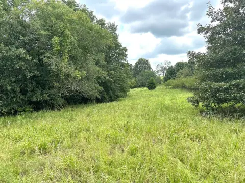 Wooded Hunting Land