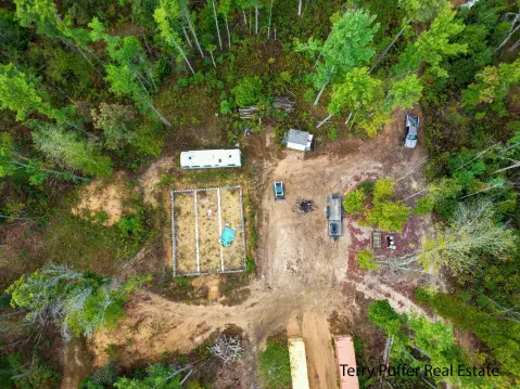 30-Acre Holton Hunting Land