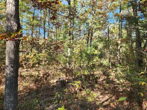 Land in Norman Township, MI