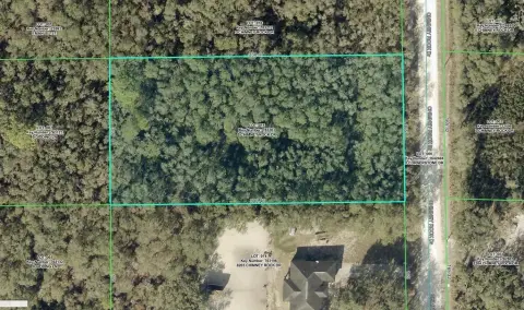 Vacant Lot in Webster, FL