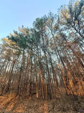 Lake Sinclair Residential Lot