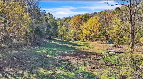 Acreage with Road Frontage