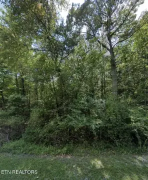 Recreation Membership Lot in Resort