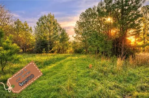 Unrestricted Wooded Acreage with Creeks