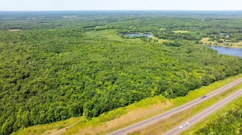 Wooded Hunting Land