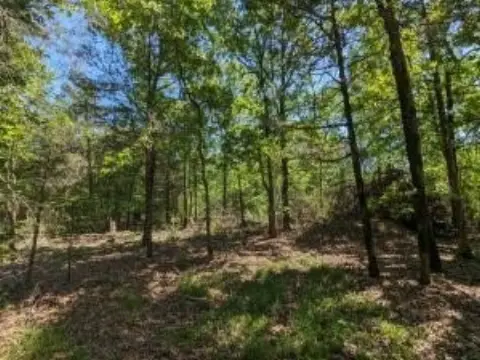 2.5 Acres Forested Lot
