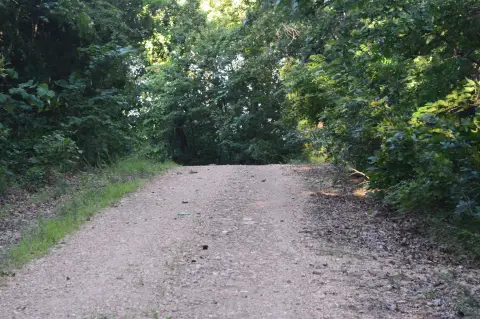 Recreational Hunting Land with Road Access