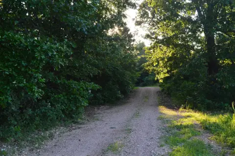 Recreational Hunting Land with Timber