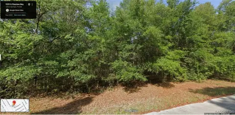 Citrus Springs Quarter Acre Parcel