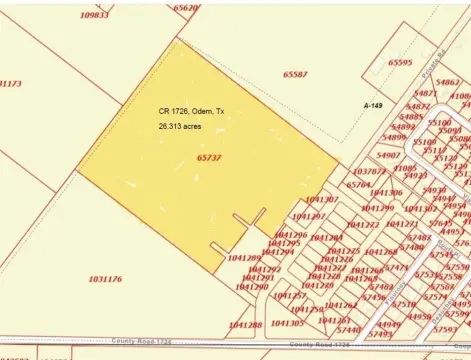 Odem, TX Land Opportunity
